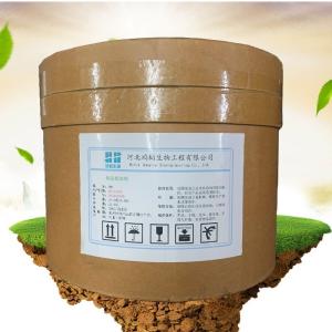 食品與飼料添加劑產業(yè)鏈 生產廠家與批發(fā)商在飼料生產中的關鍵角色